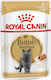 Royal Canin British Shorthair Adult Wet Food for Adult Cats in Pouches 85gr