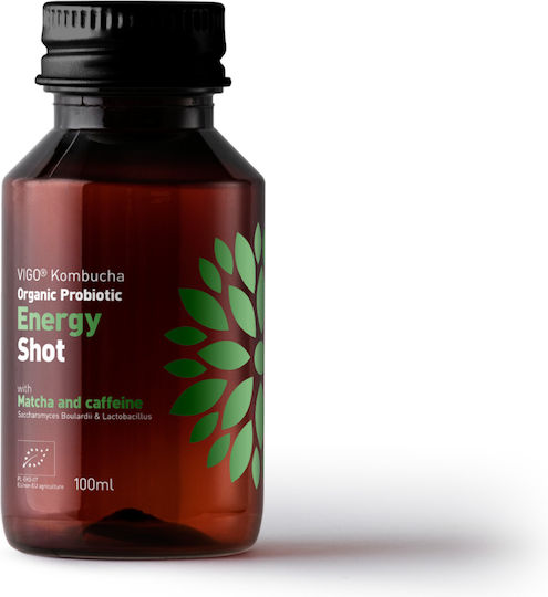 Vigo Kombucha Energy Shot Matcha & Caffeine 100ml