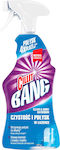 Cillit Bang Cleaning Spray Toilet 750ml