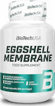 Biotech USA Eggshell Membrane Συμπλήρωμα για την Υγεία των Οστών 60 κάψουλες