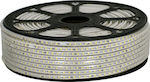 GloboStar Αδιάβροχη Ταινία LED Τροφοδοσίας 220V με Φυσικό Λευκό Φως Μήκους 1m και 96 LED ανά Μέτρο Τύπου SMD2835