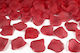 Rose Petals for Party with Theme "Marriage" Set of 100pcs