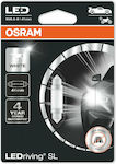 Osram Lampen Auto & Motorrad SV8.5-8 LED 6000K Kaltes Weiß 12V 0.6W 1Stück