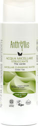 Pierpaoli Anthyllis Green Tea Micellar Cleansing Water 300ml