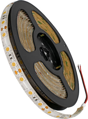 GloboStar Waterproof LED Strip Power Supply 12V with Warm White Light Length 5m and 60 LEDs per Meter SMD5050