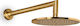 Eurorama Eletta Chester Στρογγυλή Κεφαλή Ντουζ 22.5cm με Βραχίονα 35cm Brushed Gold