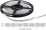 Spot Light Rezistentă la apă Bandă LED Alimentare 24V cu Lumină Alb Rece Lungime 5m și 60 LED-uri pe Metru