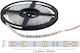 Spot Light Αδιάβροχη Ταινία LED 24V Θερμό Λευκό Φως 5m Τύπου SMD2835