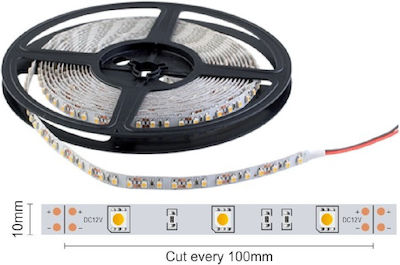 Spot Light Waterproof LED Strip Power Supply 12V with Warm White Light Length 5m and 30 LEDs per Meter