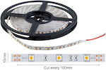 Spot Light Bandă LED Alimentare 12V cu Lumină Alb Natural Lungime 5m și 30 LED-uri pe Metru