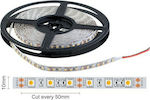 Spot Light Waterproof LED Strip Power Supply 12V with Natural White Light Length 5m and 60 LEDs per Meter