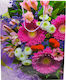 Ankor Paper Bag for Gift Fuchsia 33x10x44cm.