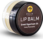 Eolia Cosmetics Lip Balm Honey & Propolis 7ml