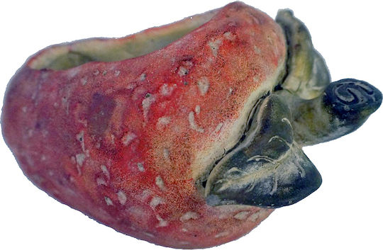 Espiel Strawberry Plant Pot Ceramic Red