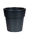 Viomes Linea N Topf Kunststoff 55x55x50cm.