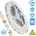 GloboStar Bandă LED Alimentare 12V cu Lumină Alb Rece Lungime 5m și 60 LED-uri pe Metru SMD2835