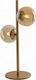 Fan Europe Honey-L2 Metal Table Lamp for Socket G9 with Honey Shade and Base