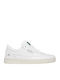 Gamma Sneakers White