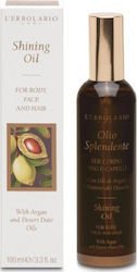 L' Erbolario Shining Ulei de argan cu Strălucire pentru Față, Păr și Corp 100ml