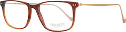 Hackett Eyeglass Frame Brown HEB238-152