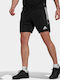 Adidas Condivo 21 Primeblue Men's Athletic Shorts Black