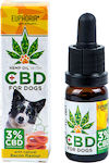 Euphoria Cbd 3% Dogs Cannabis Oil for Dogs 10ml for Anxiety & Stress Management EUP0136