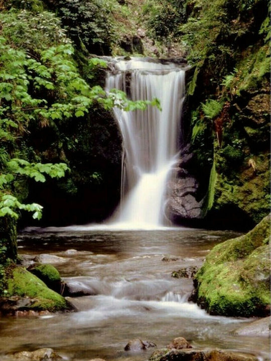 Ταπετσαρία Τοίχου Romantic Waterfall 183x254εκ