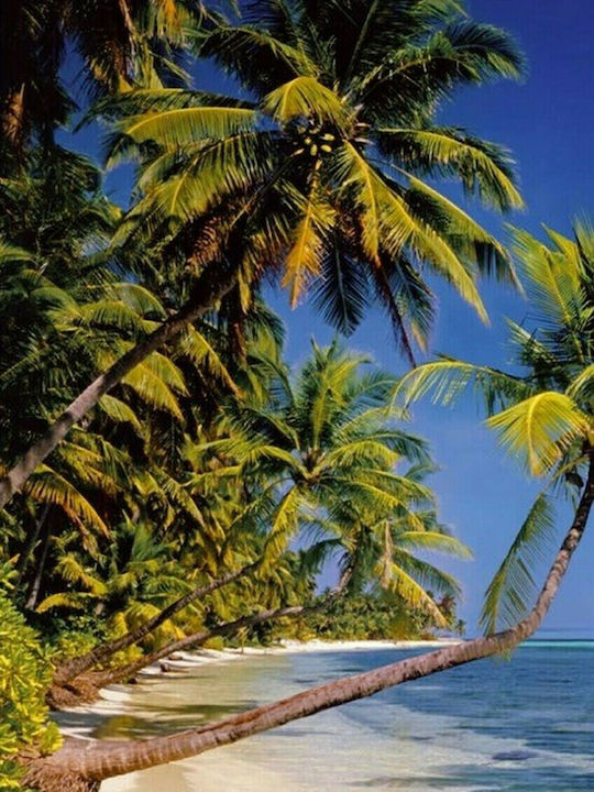 Bildschirmhintergrund Wallpaper Tropical Beach 183x254cm