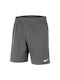 Nike Sportliche Kinder Shorts/Bermudas Park 20 Gray