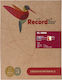 Record Art 2 Kiste Knete mit 9 Farben für 3+ Jahre