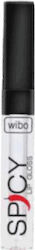 Wibo Spicy Lip Gloss 21
