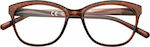 Zippo Reading Glasses +1.00 in Brown color 31Z-PR79-100