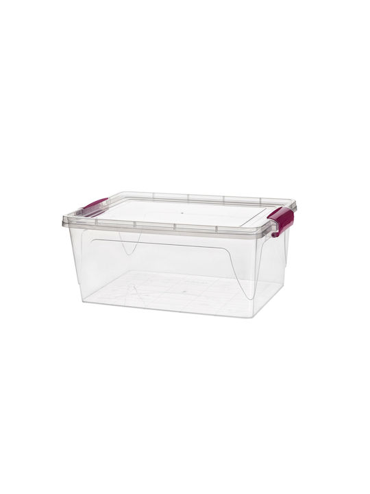 Viosarp Plastic Storage Box with Lid Transparent 30x20x12cm
