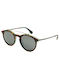 Converse Sunglasses with Brown Frame and Gray Lens SCO139-0ALI