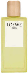 Loewe Agua Loewe Agua