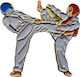 Olympus Sport 5009032 Καρφίτσα Taekwondo Gyeorugi 3