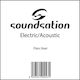 Soundsation Single Steel String for Acoustic Guitar / Electric Guitar Electric/Acoustic .012"