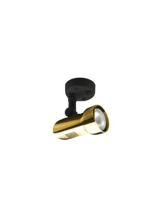 Fos me Mega Einzel Spot in Gold Farbe