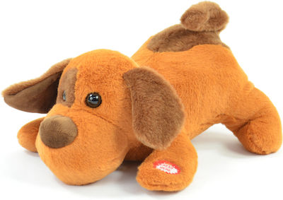 Kogler Plush Puppy