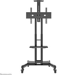 Newstar NM-M1700Black NM-M1700BLACK Suport TV Pardoseală Până La 75" Newstar NM-M1700Black NM-M1700BLACK Suport TV Pardoseală Până La 75"