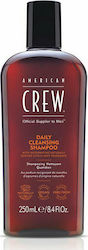 American Crew Daily Cleansing