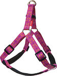 Dog Harnesses