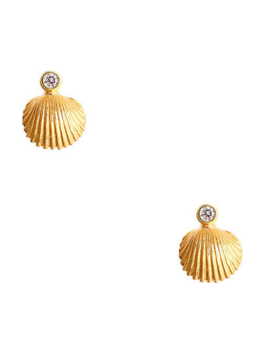 14K Gold earrings "Shiny Oysters"