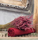 Cokitex Angel Σεντόνι Διπλό με Λάστιχο 150x200+25εκ. Burgundy