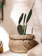 Gofis Home Combo Decorative Basket Wicker with Handles Beige 33x33x35cm
