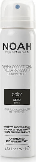 Noah for Beauty Hair Root Spray Concealer Προσωρινή Βαφή Μαλλιών σε Spray Black 75ml