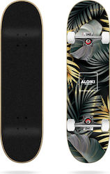 Aloiki Kuta 7.75" Complete Shortboard Πολύχρωμο