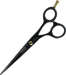 Dafnis Creole Black Plasma Dafnis Creole Black Plasma
