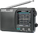 R-909 Tragbares Radio Schwarz