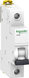 Schneider Electric Αυτόματη Ασφάλεια 25A Μονοπολική AC Schneider Electric Αυτόματη Ασφάλεια 25A Μονοπολική AC